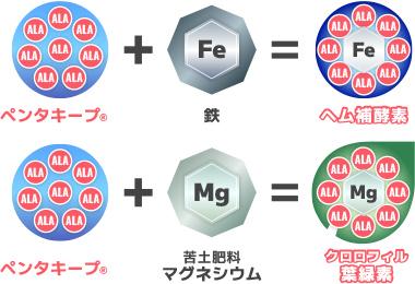 ペンタキープの効果
